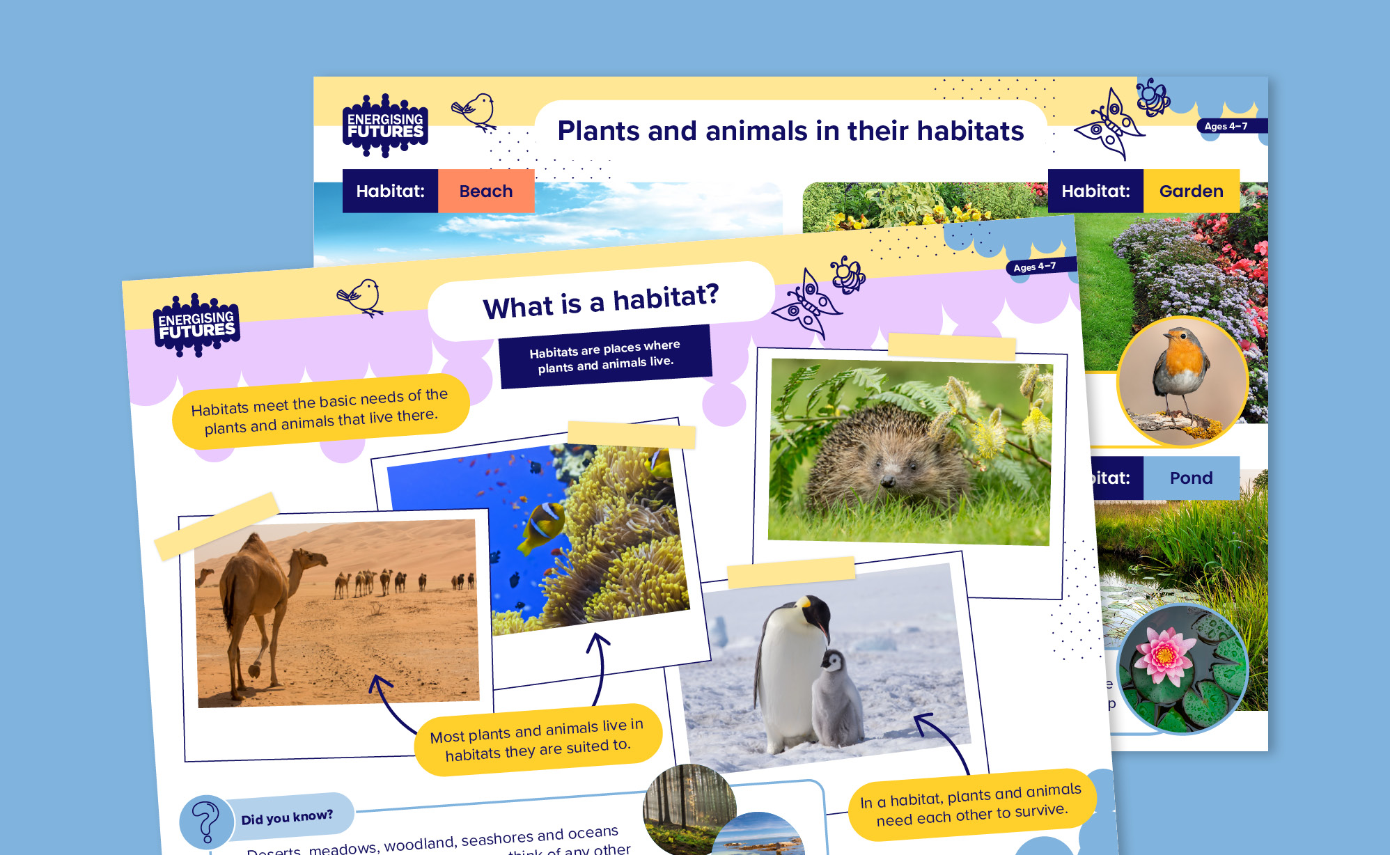 What Is A Habitat Poster Energising Futures