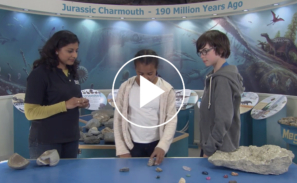 A screen grab from the video 'Discovering rocks'. Two children and a young woman stand a table at a 'Jurassic Charmouth - 190 Million Years Ago' exhibition with rocks laid out in front of them