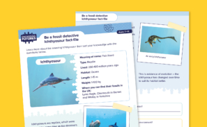 A preview of the 'Be a fossil detective, Ichthyosaur fact-file' information and activity sheet