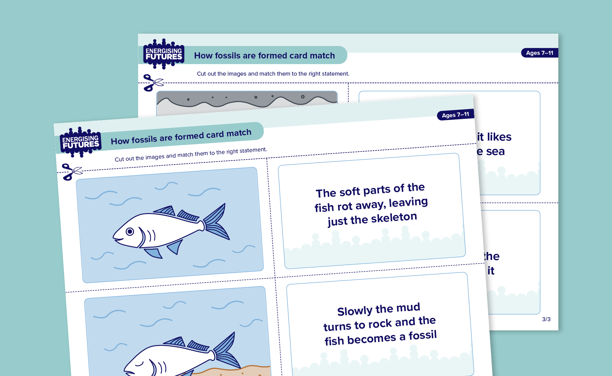 How fossils are formed card match game | Energising Futures