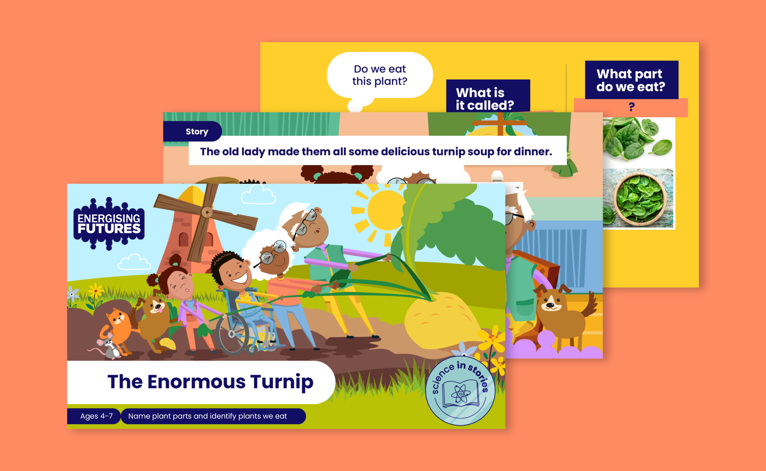 The Enormous Turnip: Plant parts we eat | Energising Futures