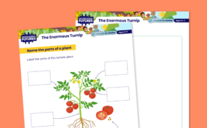 Image overview of activity sheet with illustrations of a tomato plant.
