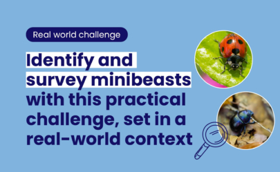 Overview image for the real-world challenge range of resources with the copy that says 'Identify and survey minibeasts with this practical challenge, set in a real-world context'.