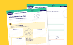 Image showing a preview of the 'About biodiversity' activity sheet against a plain yellow background.