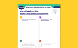 Image shows a preview of the 'About biodiversity' activity sheet against a plain yellow background.