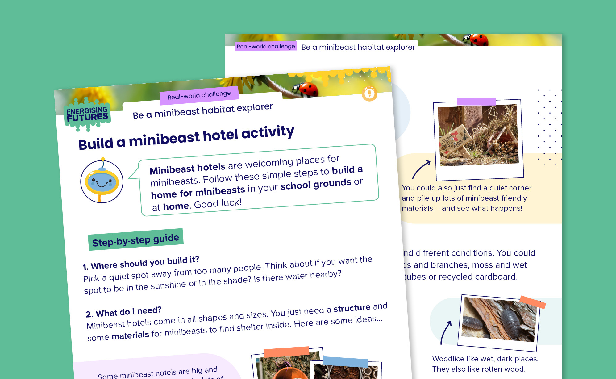 How to build a minibeast hotel Energising Futures