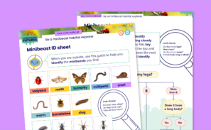 Resource image showcasing 2 pages. One with images of minibeasts and one with information.