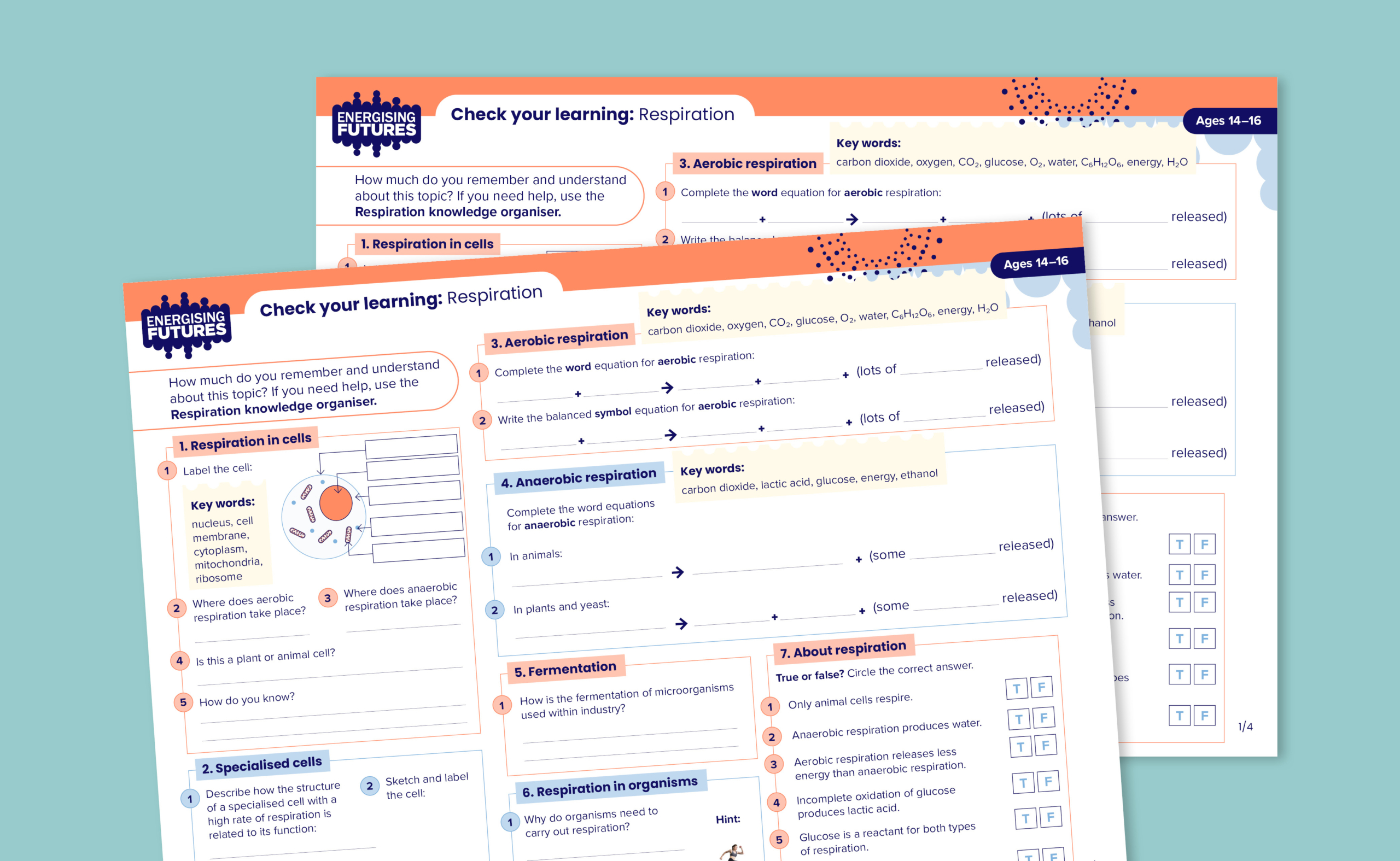 Respiration– Check your learning (14-16) | Energising Futures