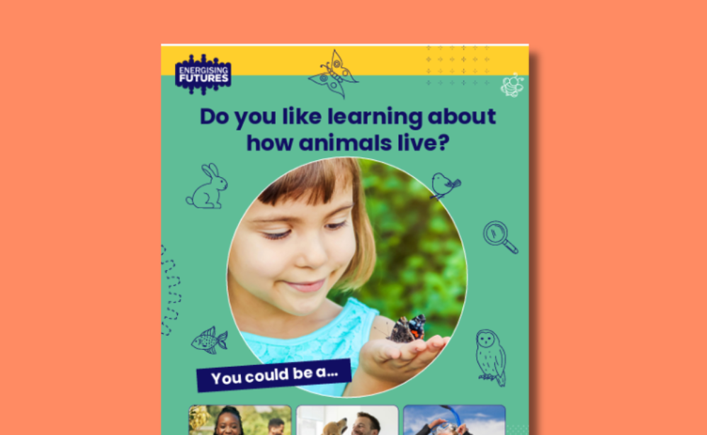 Careers linked to animals (4-7) | Energising Futures
